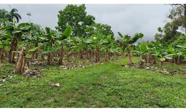 VENDO TERRENO 6220 M2 EN PRODUCCION BOQUERON