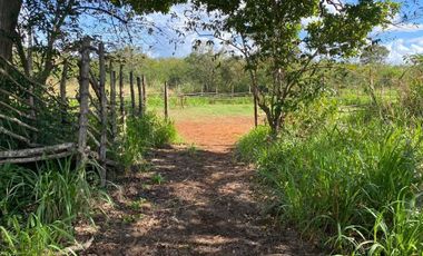 Rancho en Cantamayec 374 hectareas propiedad privada