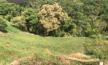 LOTE EN VENTA CERRITOS PEREIRA