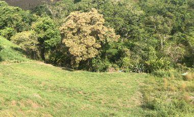 LOTE EN VENTA CERRITOS PEREIRA