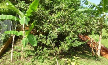 Casa en Venta, Tres Plantas, Betania, Villa de las Fuentes, El Dorado