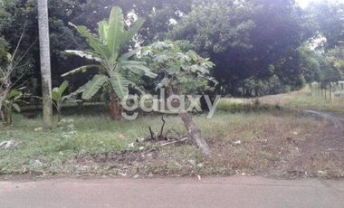 Tanah Strategis di Gading Serpong dan perbatasan BSD