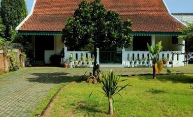 Rumah Murah Unik Luas Gaya Betawi Jawa di Dekat Tol Jatiwarna Bekasi