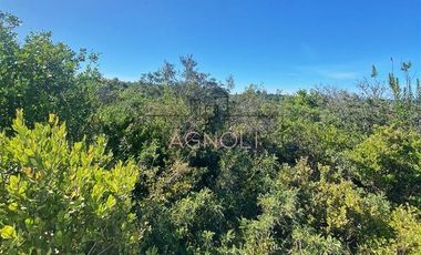 Sitio en Venta en valle hidango