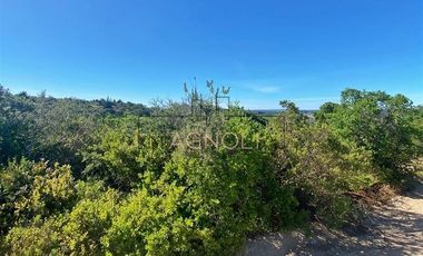 Sitio en Venta en valle hidango