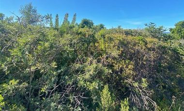 Sitio en Venta en valle hidango