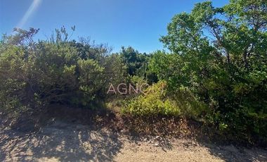Sitio en Venta en valle hidango