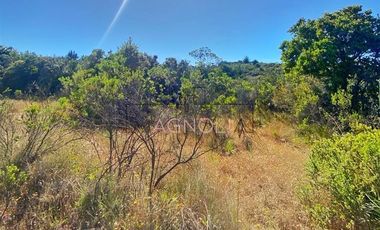 Sitio en Venta en valle hidango