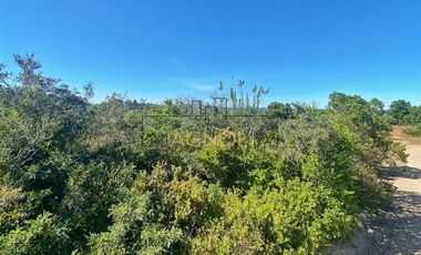 Sitio en Venta en valle hidango