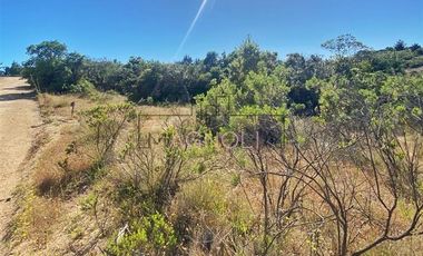 Sitio en Venta en valle hidango