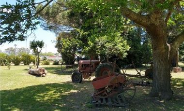 VENDO 2 HAS PARQUIZADAS EN MAR DEL PLATA