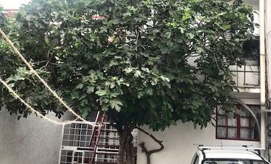 SE VENDE CASA CON 3 DEPARTAMENTOS INDEPENDIENTES, MAGDALENA CONTRERAS