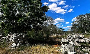 Venta de Terreno en Kinchil a 48 meses