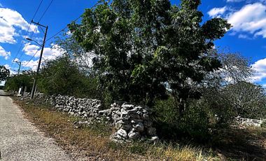 Venta de Terreno en Kinchil a 48 meses