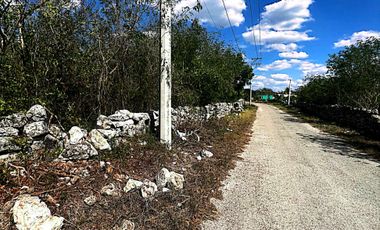 Venta de Terreno en Kinchil a 48 meses