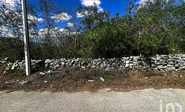 Venta de Terreno en Kinchil a 48 meses