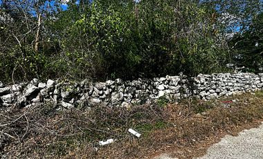 Venta de Terreno en Kinchil a 48 meses