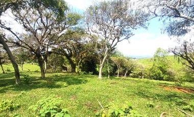 lote en venta en condominio campestre lagos de maracaibo. Cod V108346