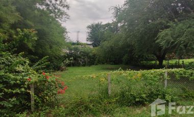 Land for sale in Cha-Am, Phetchaburi