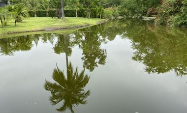 Land for sale in Cha-Am, Phetchaburi