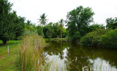 Land for sale in Cha-Am, Phetchaburi