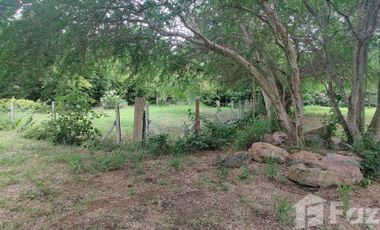Land for sale in Cha-Am, Phetchaburi