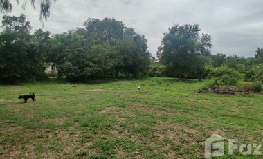 Land for sale in Cha-Am, Phetchaburi