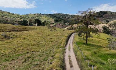 finca en venta en vereda granada. Cod V9477442