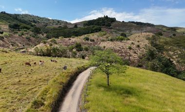 finca en venta en vereda granada. Cod V9477442