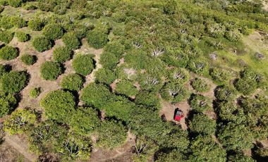 finca en venta en vereda granada. Cod V9477442