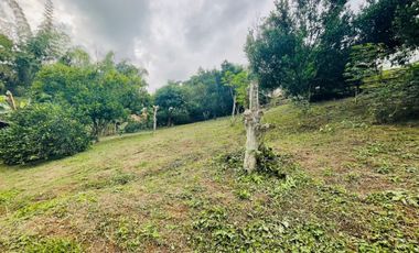 finca en venta en via alcala. Cod V17973