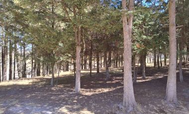 OPORTUNIDAD DE INVERSIÓN FINCA EN VILLA VICTORIA