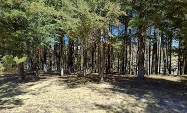 OPORTUNIDAD DE INVERSIÓN FINCA EN VILLA VICTORIA