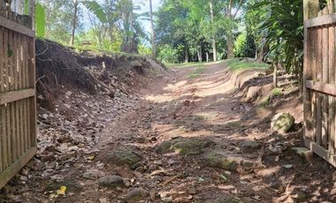 Más de 1 hectárea con una casita ecológica en un 'rincón secreto' cerca de Tarapoto y vecinos muy interesantes.