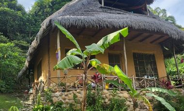 Más de 1 hectárea con una casita ecológica en un 'rincón secreto' cerca de Tarapoto y vecinos muy interesantes.