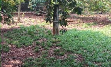 Disewakan Tanah dan Bangunan area Lenteng Agung cocok untuk Gudang dan Kantor