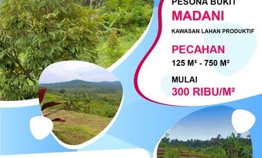 Tanah dengan Harga Masih Murah di Bogor