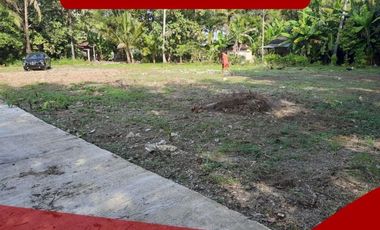 Lahan Cocok Bangun Kost 100jt-an/unit Dekat Gate Tol Sentolo