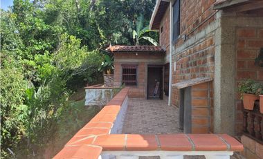 Finca en Damasco (Suroeste Antioqueño)