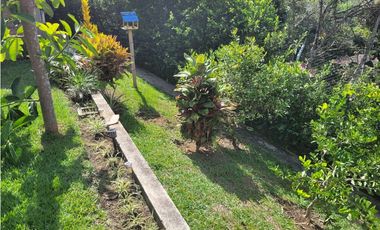 Finca en Damasco (Suroeste Antioqueño)