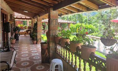 Finca en Damasco (Suroeste Antioqueño)