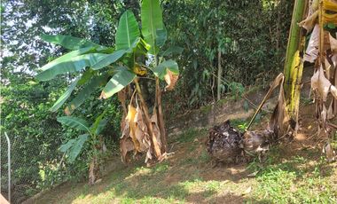 Finca en Damasco (Suroeste Antioqueño)