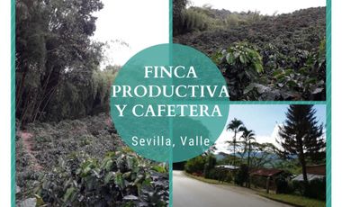FINCA PRODUCTIVA Y CAFETERA SEVILLA VALLE 4799