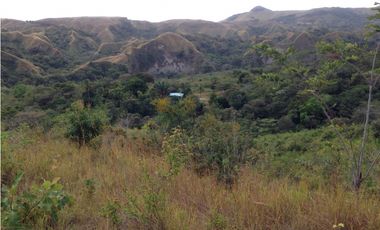 VENDO FINCA LAGUNA DE SAN CARLOS- GUABITO