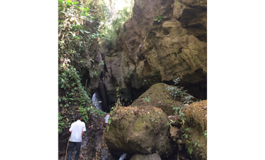 VENDO FINCA LAGUNA DE SAN CARLOS- GUABITO