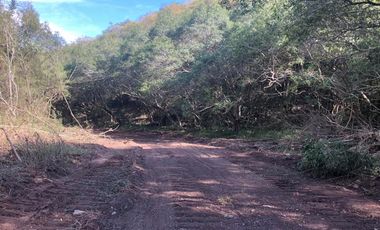 Ranchos en Venta en San Carlos