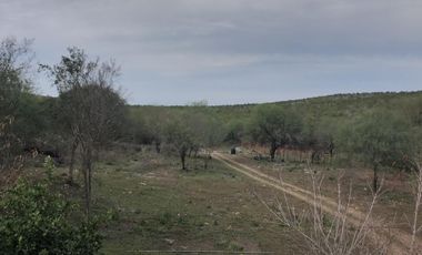 Ranchos en Venta en San Carlos