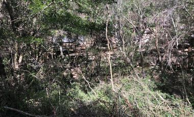 Ranchos en Venta en San Carlos