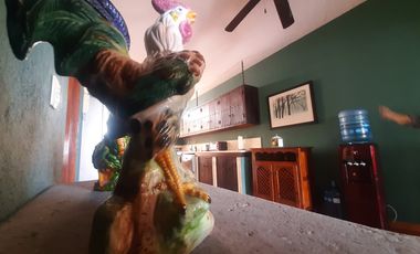 En renta hermosa casa en San Miguel de Allende