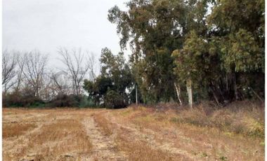 VENTA CAMPO PRODUCTIVO TIL TIL SECTOR CHAMPA
